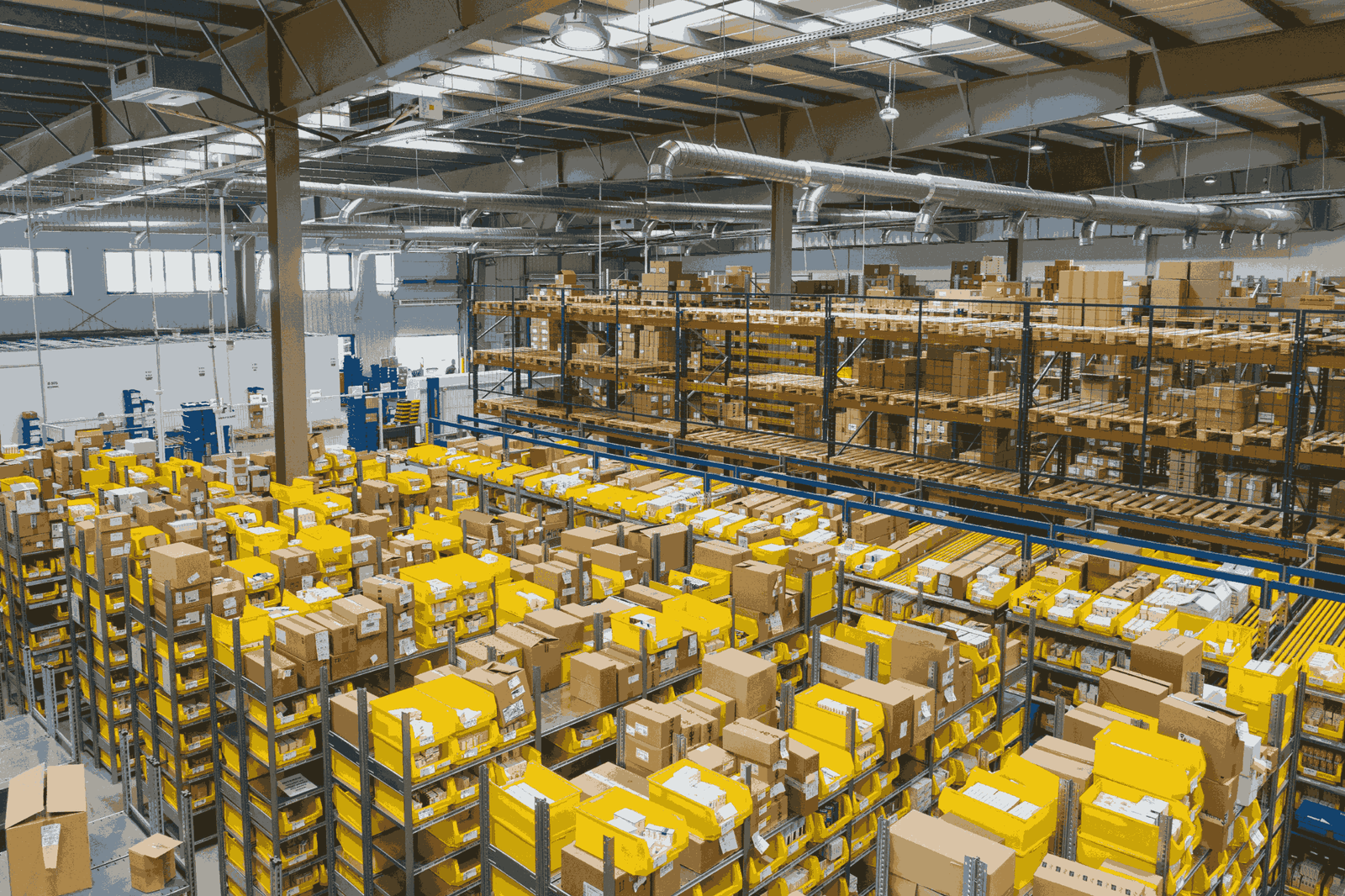Rayva Globexx Warehouse