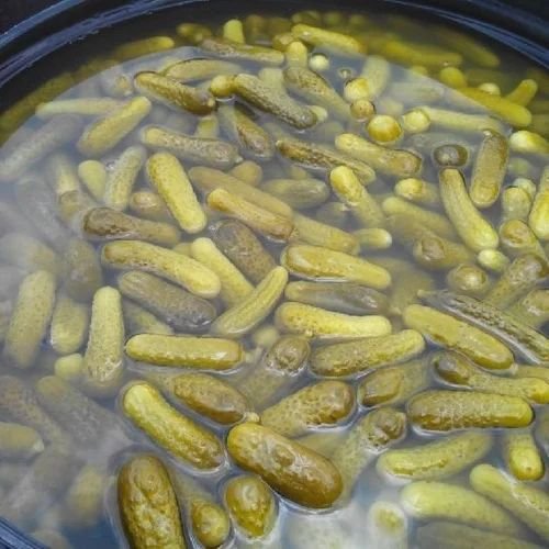 Fresh Gherkins